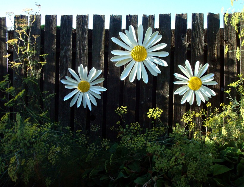 daisyFENCESM